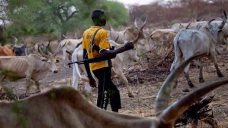25 die in Kogi as suspected herdsmen