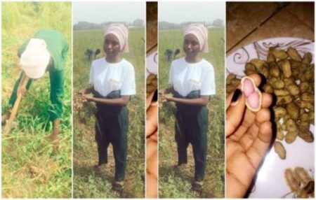 Nigerian slay queens agriculture