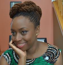Pregnancy has pushed many women down - Chimamanda Adichie