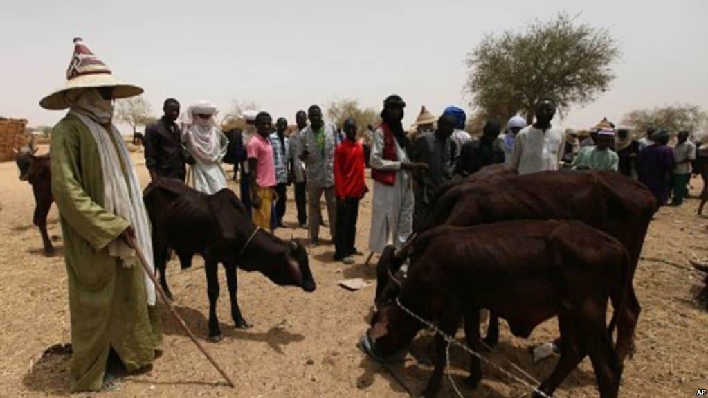 Miyetti Allah slams Fulani senators for failing to protect herdsmen