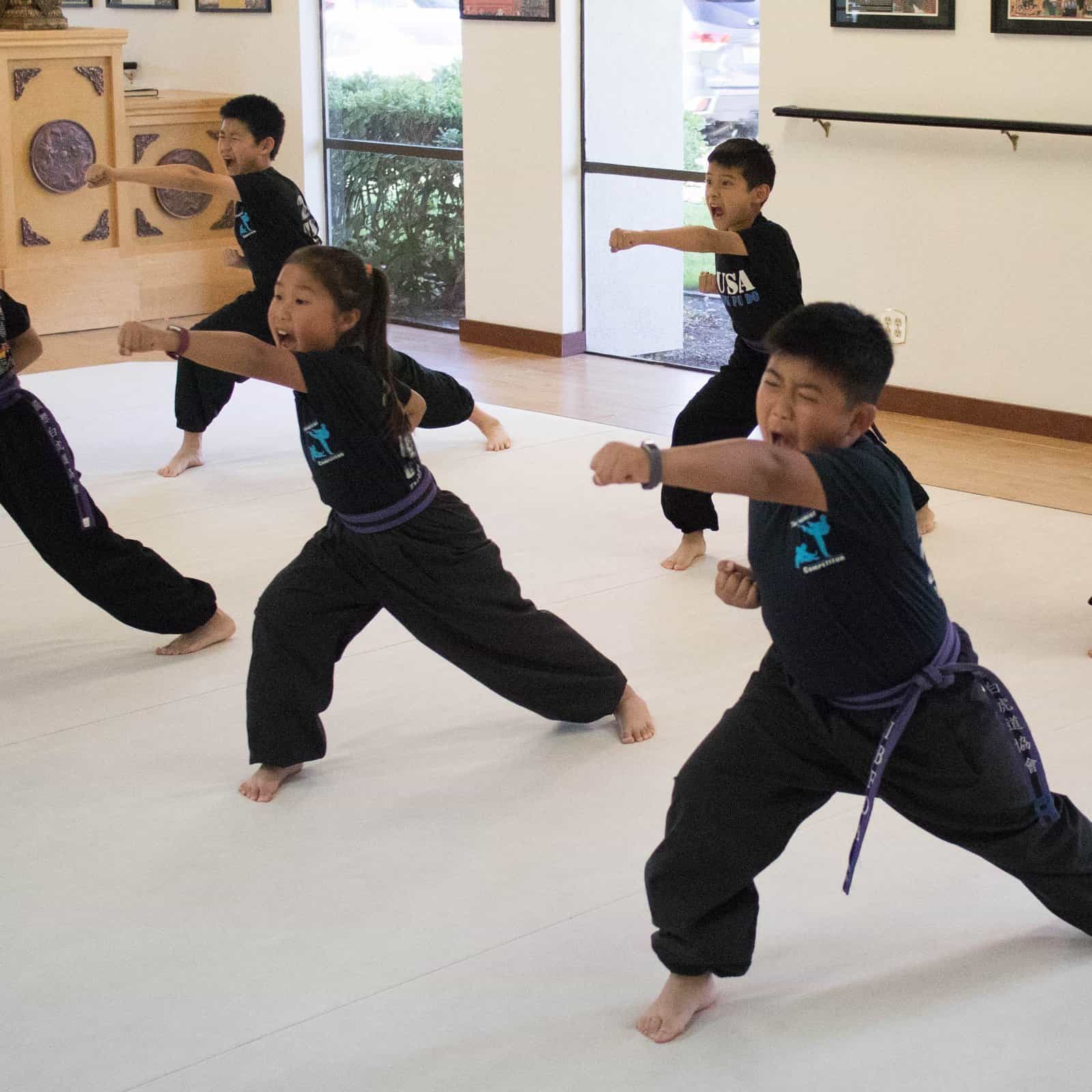 Are most Chinese people Kung-Fu Masters? - Quora