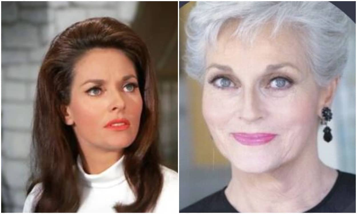 Biography: Everything you need to know about Lee Meriwether - Kemi Filani