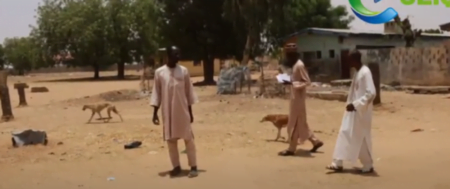 katsina govt deploy dogs to schools