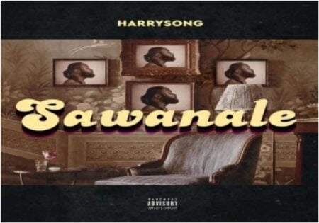 Harrysong - Sawanle.