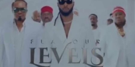 Music Video: Flavour - Levels