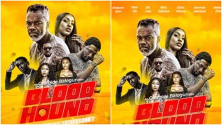 Movie Review Blood Hound