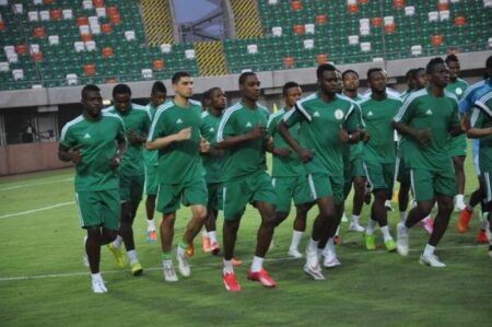 Super Eagles get new manager as Finidi George, Salisu Yusuf to assist