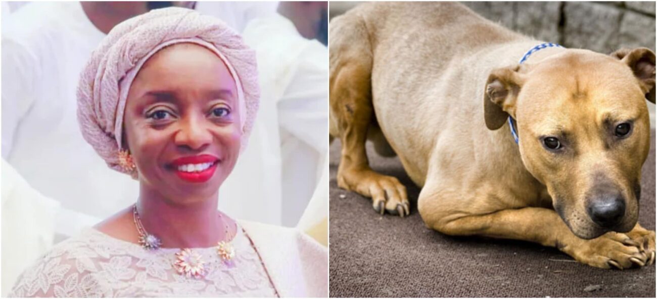 Sanwo Olu's wife issues warning to Lagos girls sleeping with Dogs