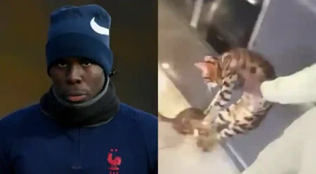 Kurt Zouma: West Ham's star slammed with 180 hours of community service, banned from owning cats