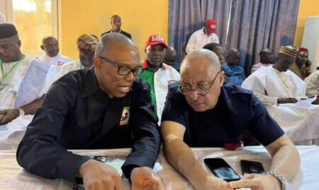 Pat Utomi steps down for Peter Obi