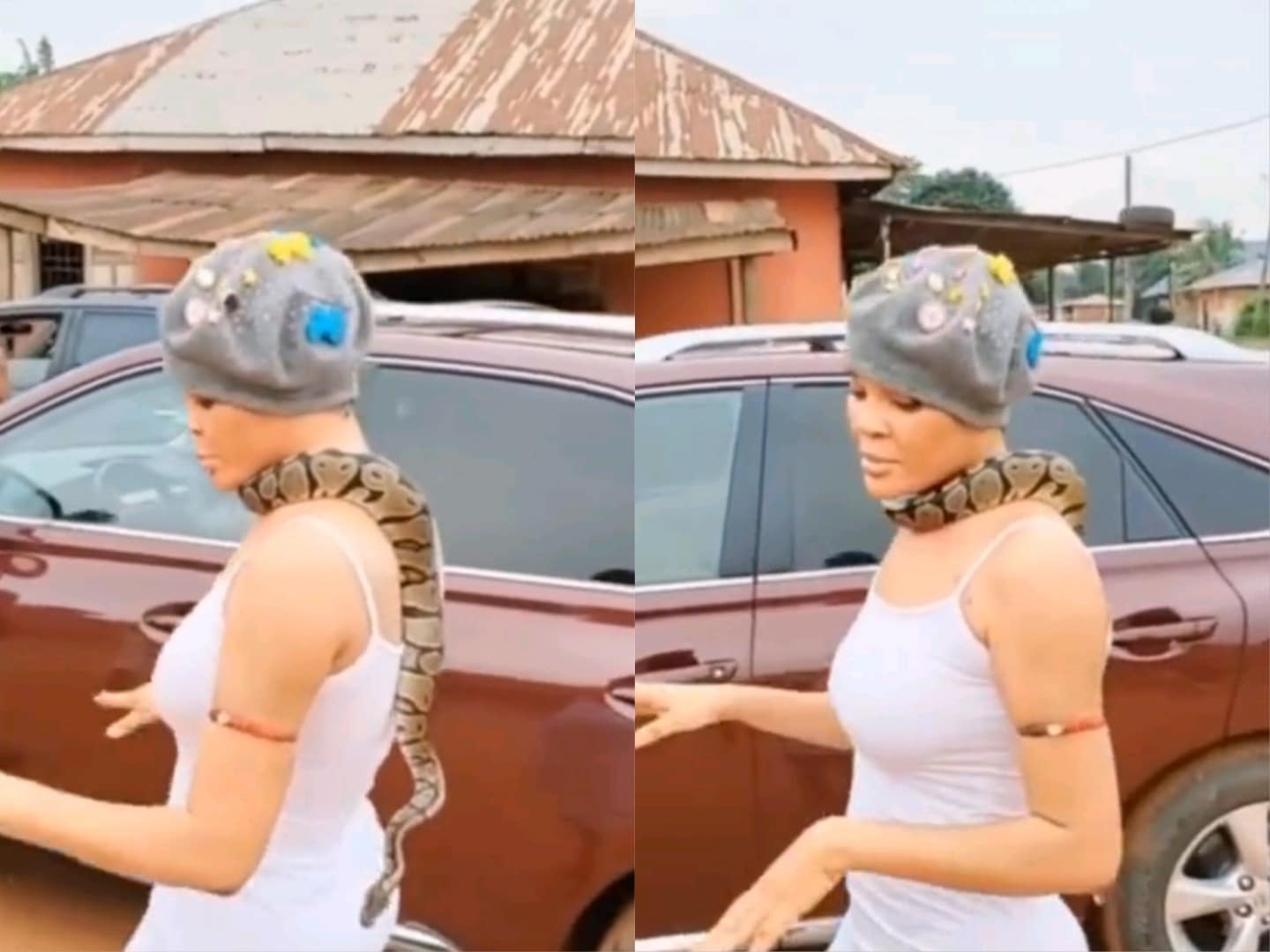 I love Pythons so much, we are family’ – Chika Lann reveals