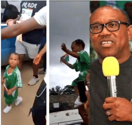 Peter Obi sued for using a toddler in Labour Party rally