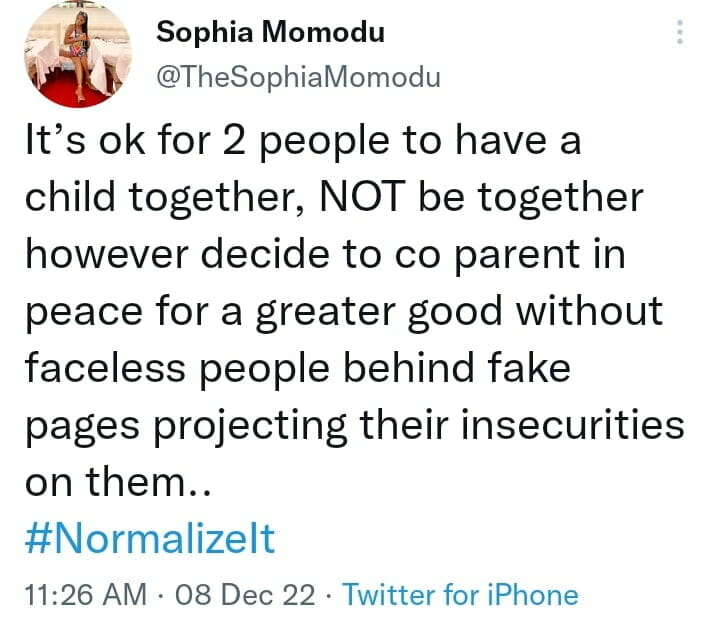 Sophia Momodu slams faceless trolls