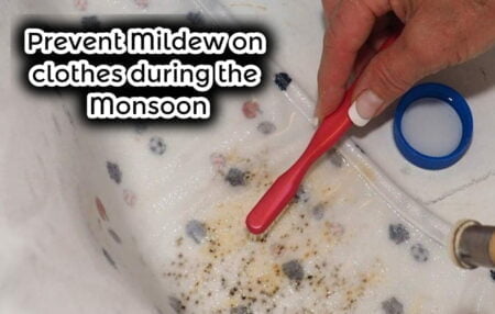 tips to avoid mildew,mildew on clothes during monsoon,monsoon tips,clothes care tips during monsoon