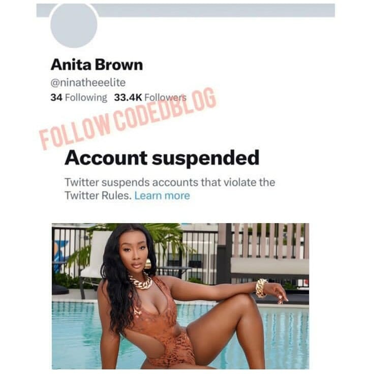 Reactions as Twitter suspends Anita Brown's account