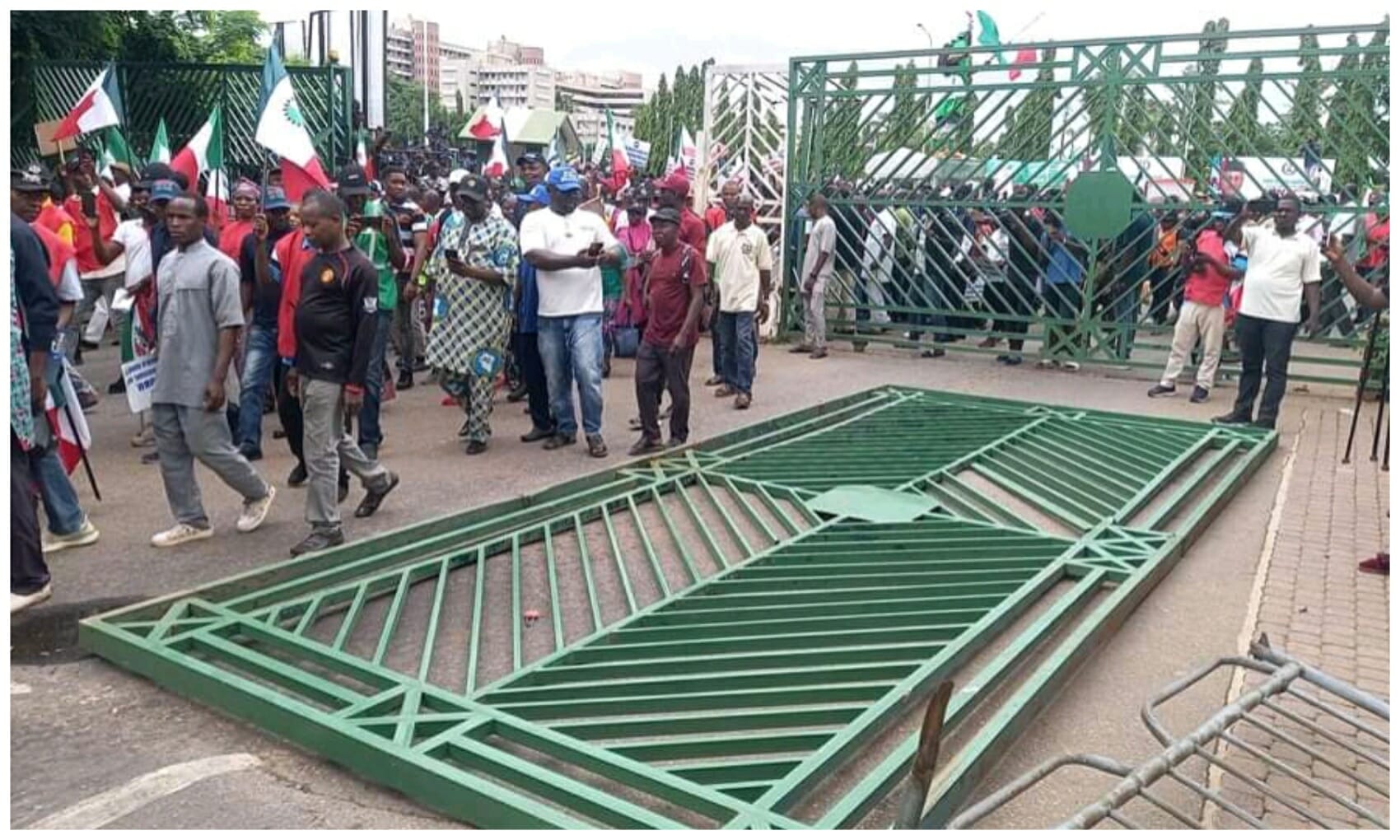Protesters pull down national assembly gate