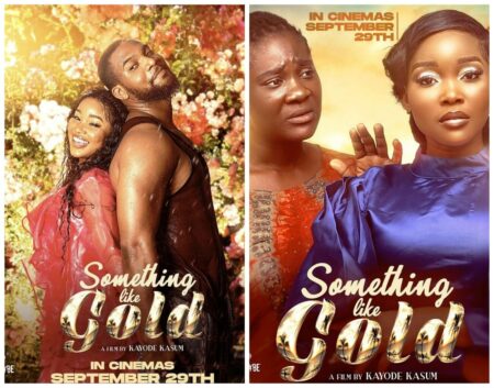 Movie Review Something Like Gold