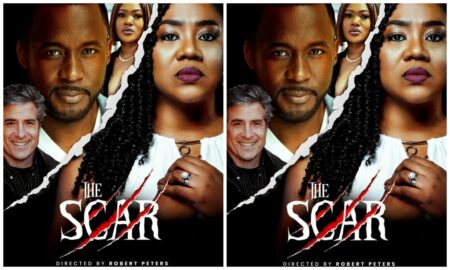 Movie Review The Scar