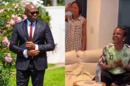 Lady slams Tony Elumelu over his treatment of his househelp