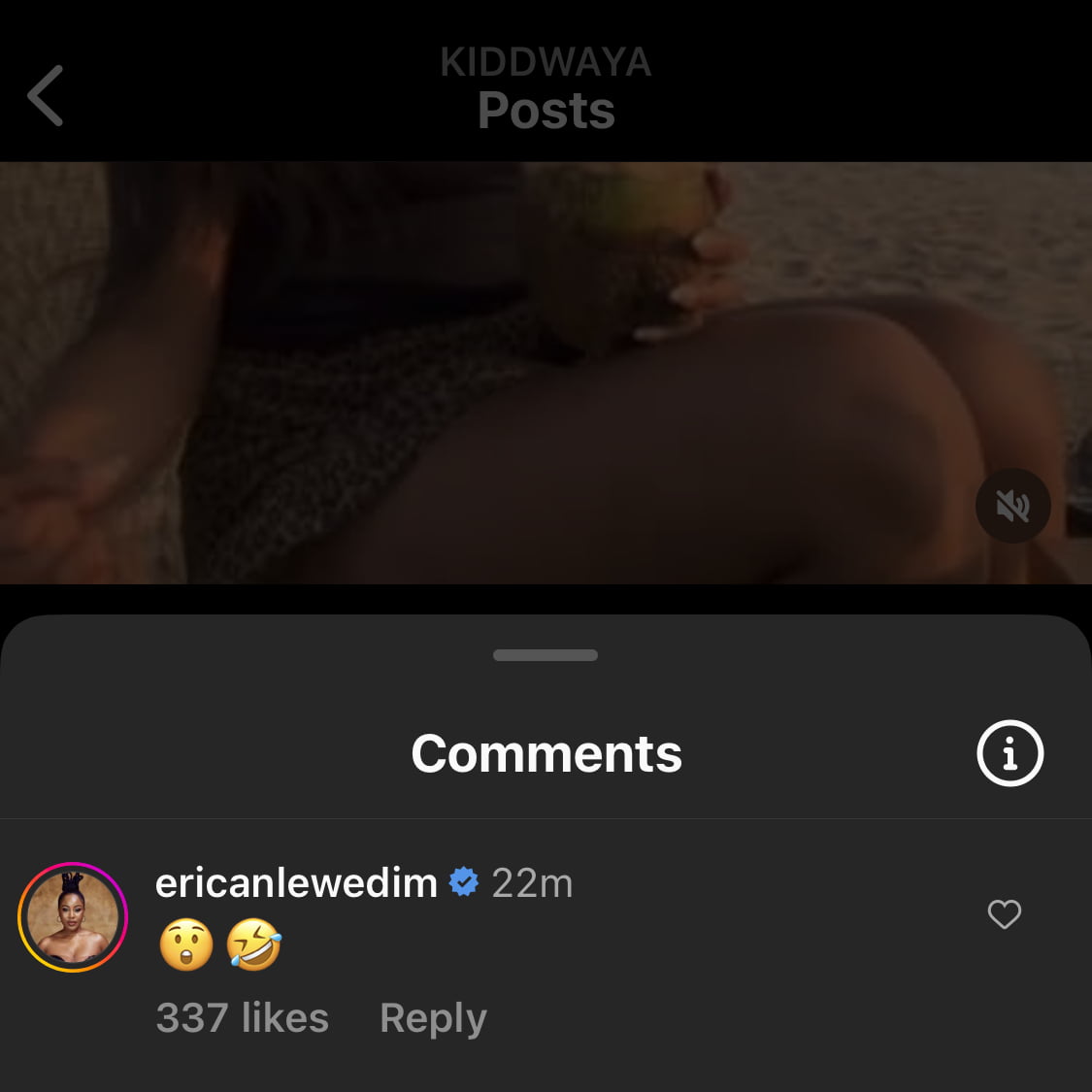 Erica Nlewedim responds to Kiddwaya’s birthday post for her.