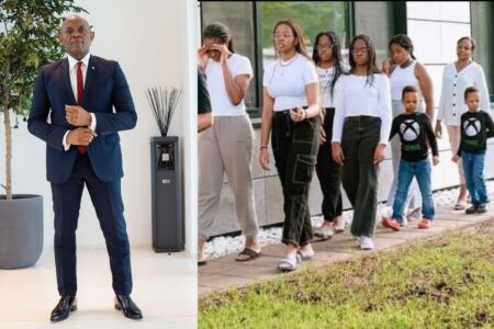 Twitter user reacts to photo of Tony Elumelu and his 7 kids